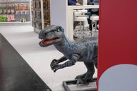 Foto impressie Nuremberg-2023, 